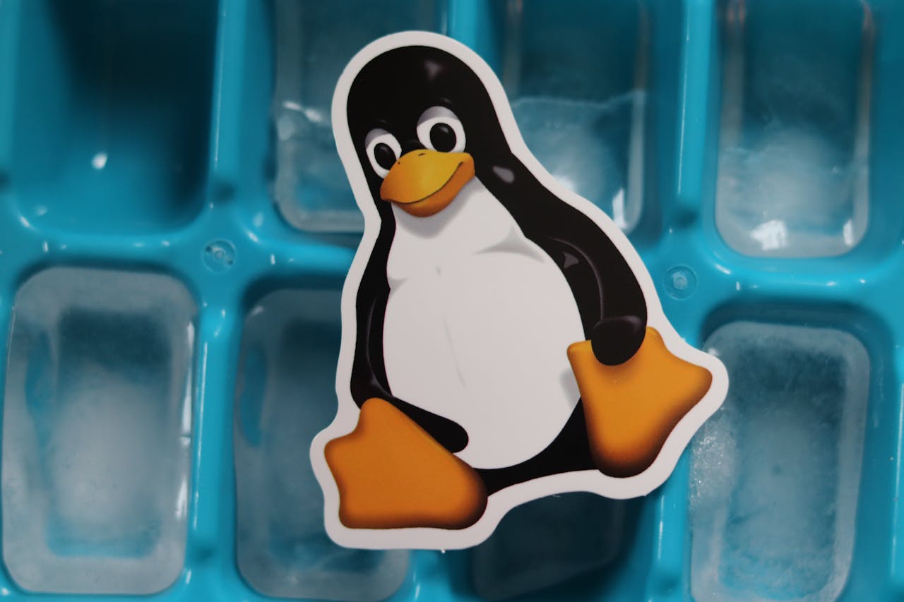 services-03 Close-up of a Linux penguin sticker placed on a blue ice cube tray with frozen cubes.